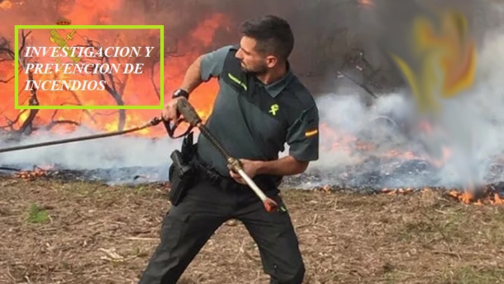 INVESTIGACION Y PREVENCION DE INCENDIOS